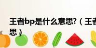 王者bp是什么意思?(王者榮耀bp是什么意思)