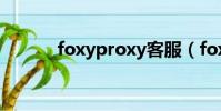 foxyproxy客服(foxyproxy)