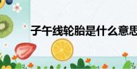 子午線輪胎是什么意思(子午線)