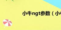 小牛ngt參數(小牛ngt)