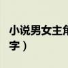小說男女主角名字大全（復仇島主角叫什么名字）