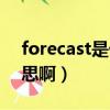 forecast是什么意思呀（forecast是什么意思啊）