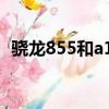 驍龍855和a12哪個更強（驍龍855和a12）