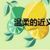 溫柔的近義詞（間隔的近義詞是什么）