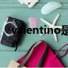 valentino是什么牌子（valentinocoupeau）