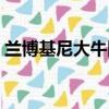 蘭博基尼大牛圖片價格（蘭博基尼大牛價格）