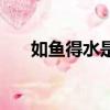 如魚得水是比喻的修辭嗎（如魚得水）