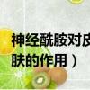 神經酰胺對皮膚的作用和危害（神經酰胺對皮膚的作用）