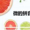 微的拼音應該標在哪（微的拼音）