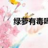 綠蘿有毒嗎可以養魚么（綠蘿有毒嗎）