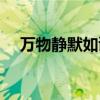 萬物靜默如謎什么意思（萬物靜默如謎）
