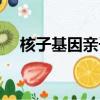 核子基因親子鑒定是真的嗎（核子基因）