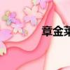 章金萊是誰（章金萊的惡行）