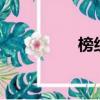 榜組詞2個字（榜組詞）