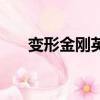 變形金剛英文名字（變形金剛英雄記）