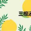 三根湯是指哪三根（三根湯）