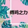 縛雞之力代表什么生肖（縛雞之力）