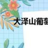 大澤山葡萄多少錢一斤（大澤山葡萄）