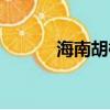 海南胡椒粉品牌（海南胡椒粉）