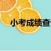 小考成績查詢入口官網（小考成績查詢）