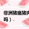 非洲豬瘟豬肉可以吃嗎（非洲豬瘟的豬肉能吃嗎）