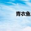 青衣魚怎么吃（青衣魚的做法）