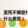 至死不懈是什么意思是什么意思（至死不懈是什么意思）