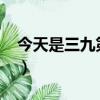 今天是三九第幾天2023（今天是三九第幾天）