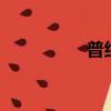 普組詞2個字（普組詞）
