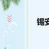 錫安威廉姆斯（錫組詞）