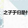 之子于歸是什么意思（之子于歸什么意思）