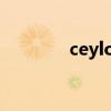 ceylon tips（ceylon tea）