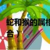蛇和猴的屬相合不合家人（蛇和猴的屬相合不合）