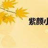 紫顏小仙紫真實姓名（紫顏）