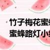 竹子梅花蜜蜂路燈小練筆35個字（竹子梅花蜜蜂路燈小練筆）