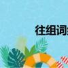 往組詞組詞語（往組詞有哪些）