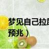 夢見自己拉屎是啥意思?（夢到自已拉屎什么預兆）