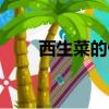 西生菜的做法澆汁（西生菜的做法）
