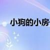 小狗的小房子主要內容（小狗的小房子）