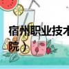 宿州職業技術學院分數線（宿州市職業技術學院）