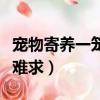 寵物寄養一籠難求小說筆趣閣（寵物寄養一籠難求）