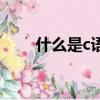 什么是c語言的字典（什么是c語言）