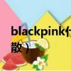 blackpink什么時候解散（unine什么時候解散）
