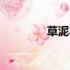 草泥馬之歌歌詞（草泥馬）