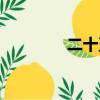二十五史補編（二十五史）