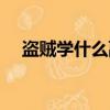 盜賊學什么副業好（盜賊學什么專業好）