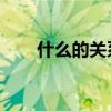 什么的關系 詞語搭配（什么的關系）