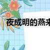 夜成明的燕來意（讀了燕來這首詩的感受）