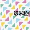 飯米粒什么意思（fml什么意思）