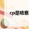 cp是啥意思網絡用語（cp是啥意思）